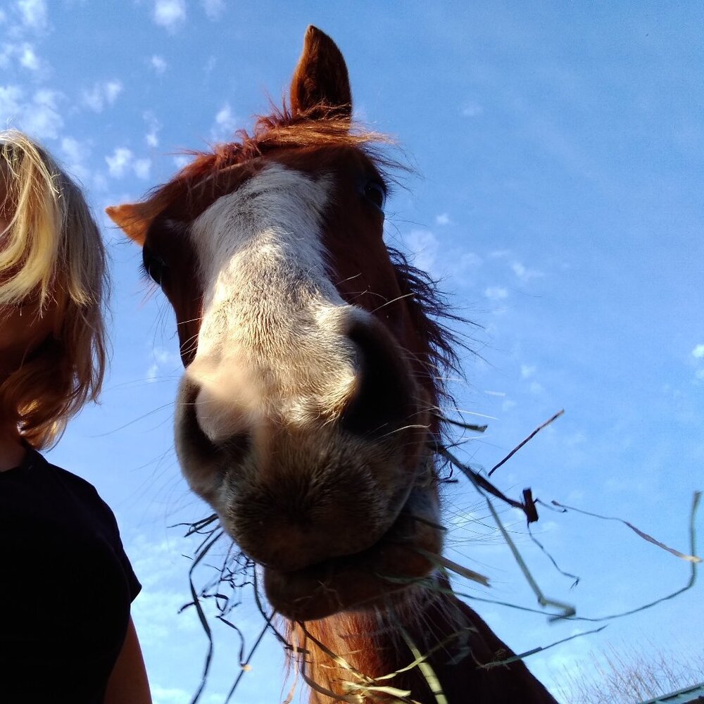 UNLISTED CLOTHES low start show!